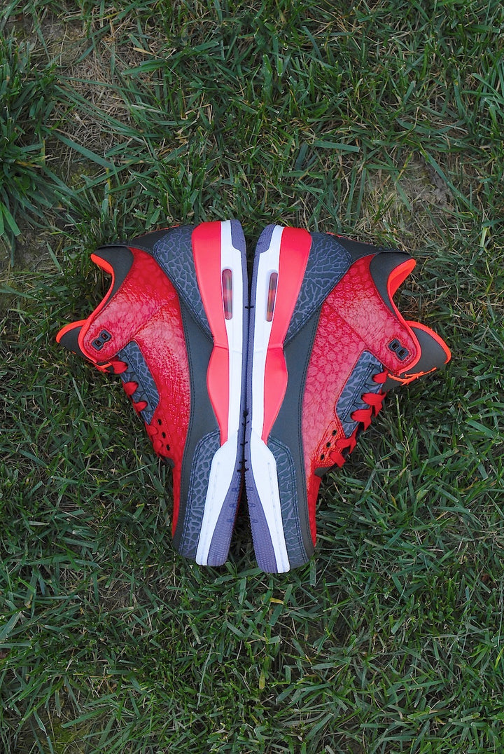 Raptor Air Jordan 3