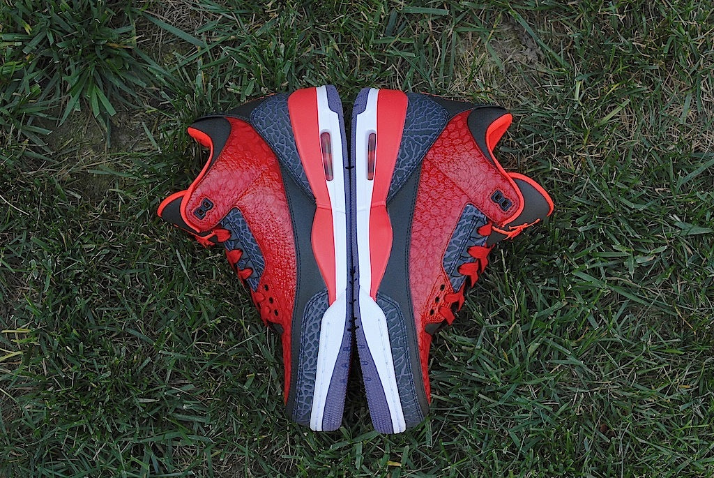 Raptor Air Jordan 3