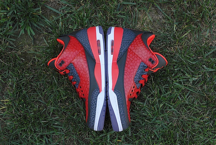 Raptor Air Jordan 3