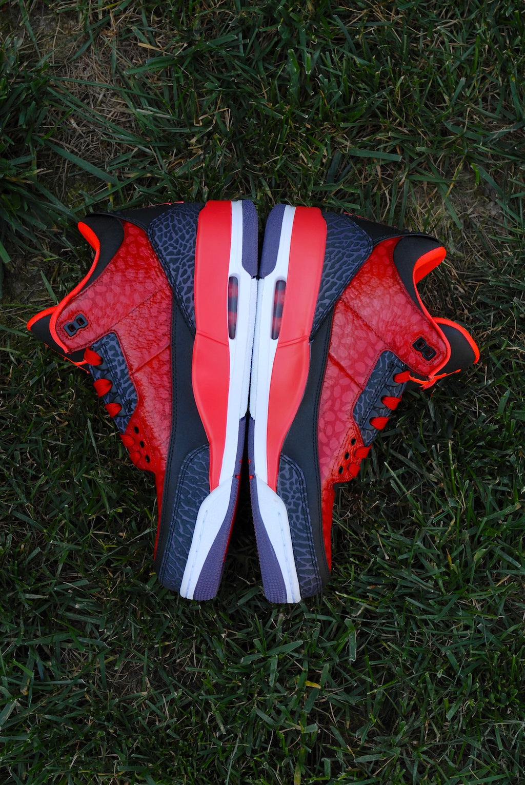 Raptor Air Jordan 3