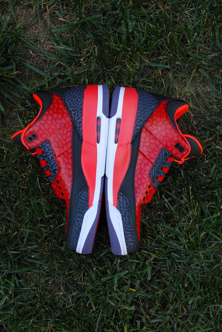 Raptor Air Jordan 3