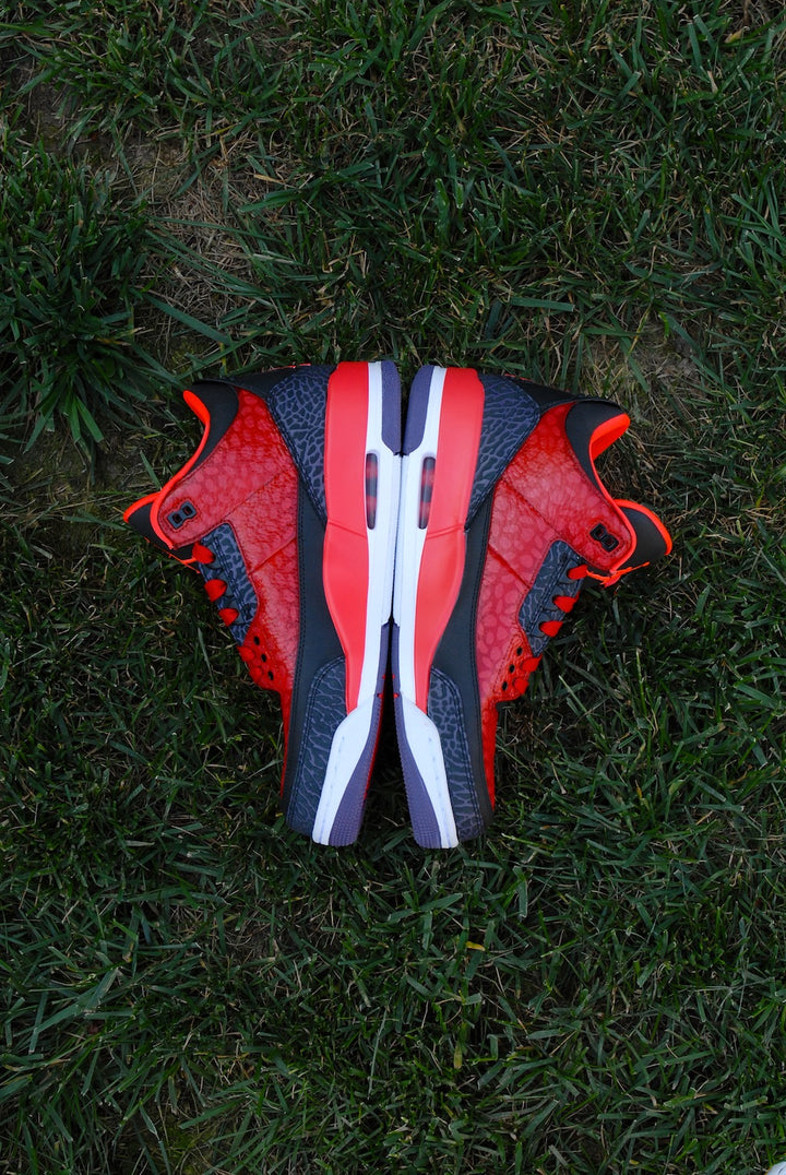 Raptor Air Jordan 3