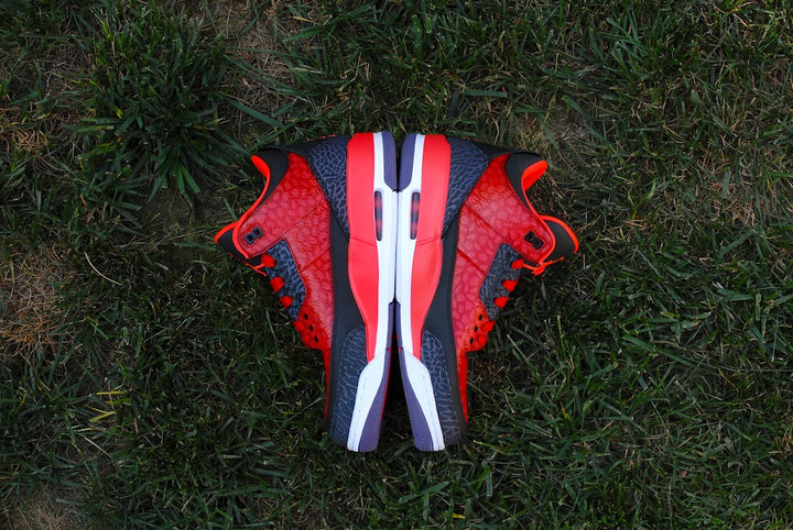 Raptor Air Jordan 3