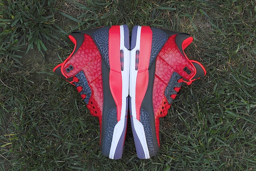 Raptor Air Jordan 3