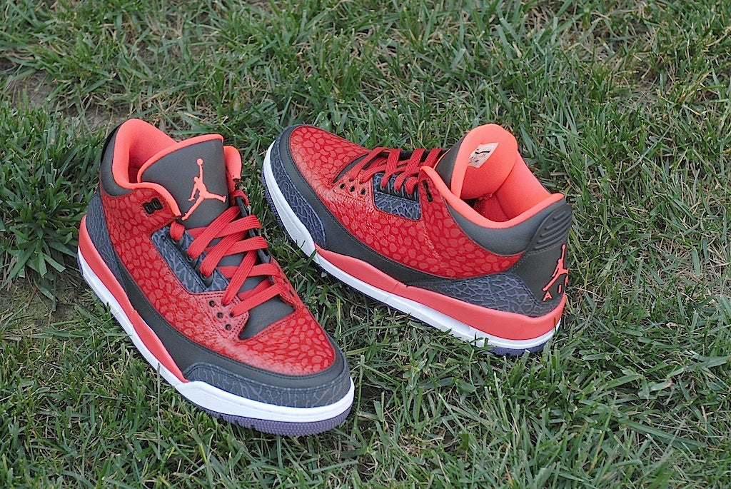 Raptor Air Jordan 3