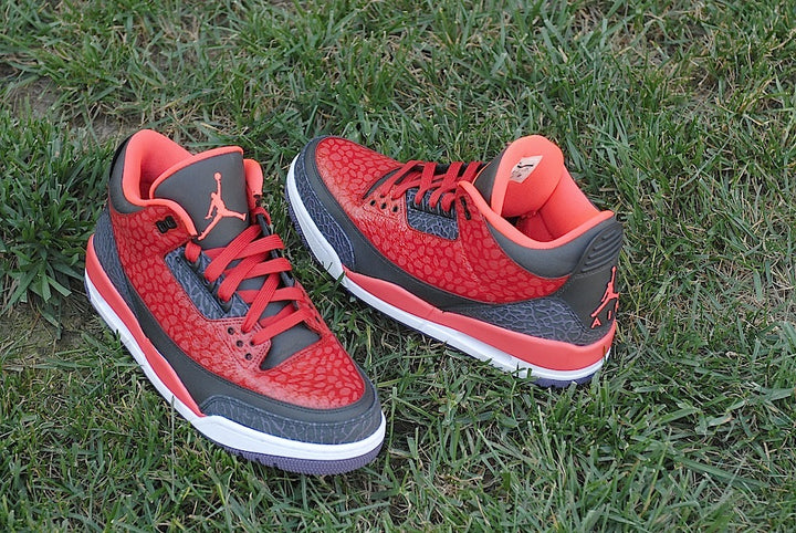 Raptor Air Jordan 3