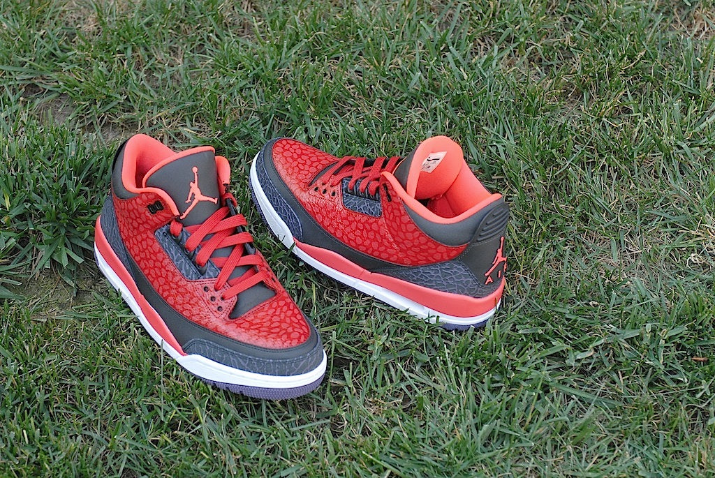 Raptor Air Jordan 3