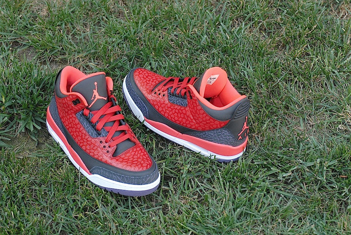 Raptor Air Jordan 3