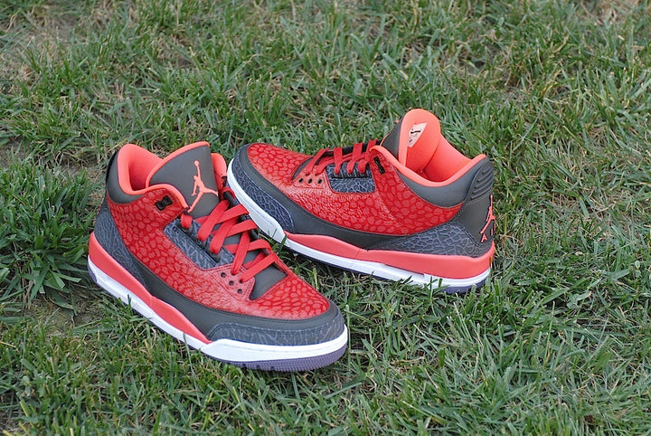Raptor Air Jordan 3