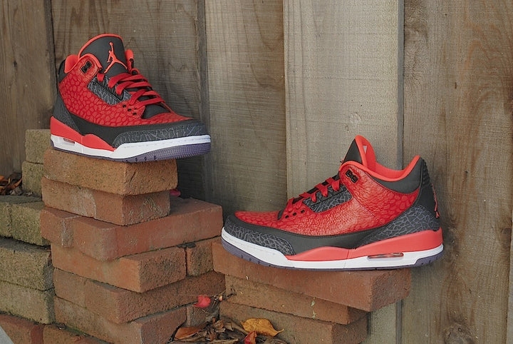 Raptor Air Jordan 3