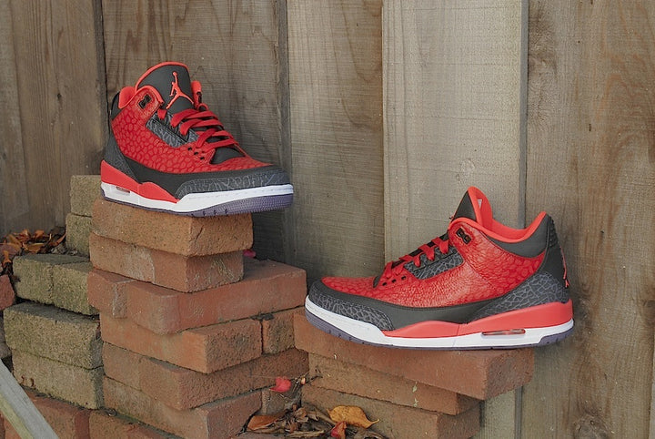 Raptor Air Jordan 3