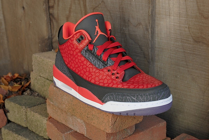 Raptor Air Jordan 3