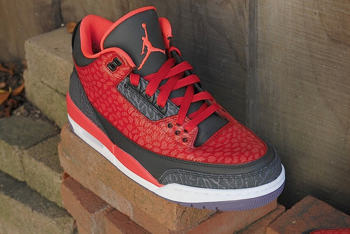 Raptor Air Jordan 3