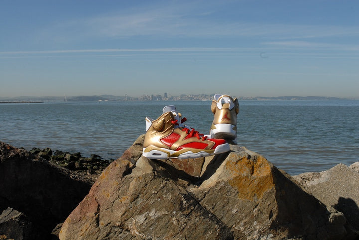Niners Nike Air Jordan 6 Custom Shoes