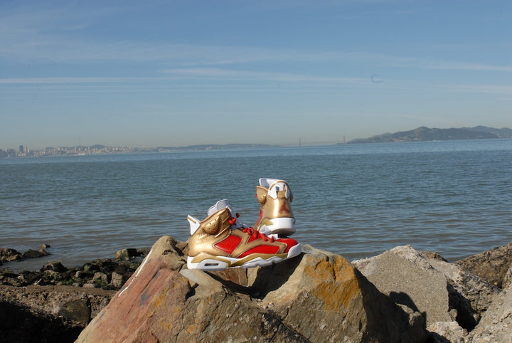 Niners Nike Air Jordan 6 Custom Shoes