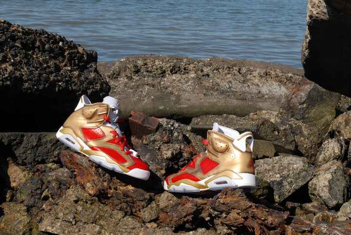 Niners Nike Air Jordan 6 Custom Shoes
