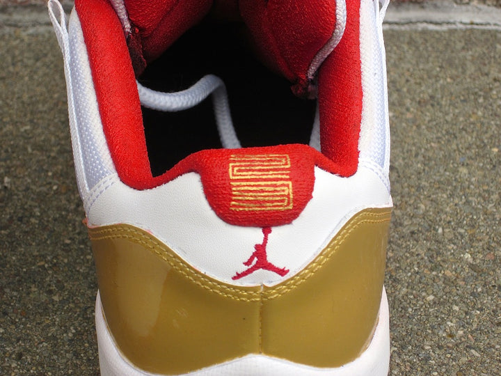 Ray Allen Jordan 11 Low PE