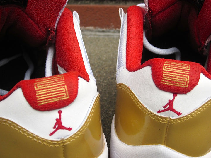 Ray Allen Jordan 11 Low PE