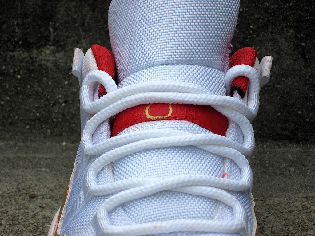 Ray Allen Jordan 11 Low PE