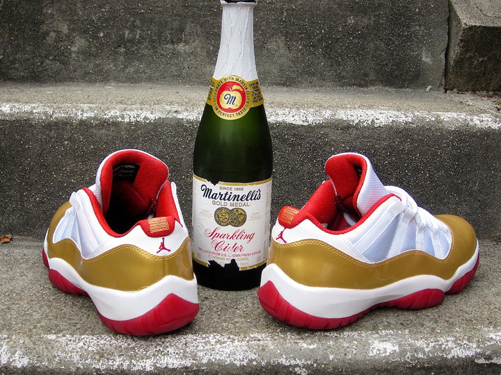 Ray Allen Jordan 11 Low PE