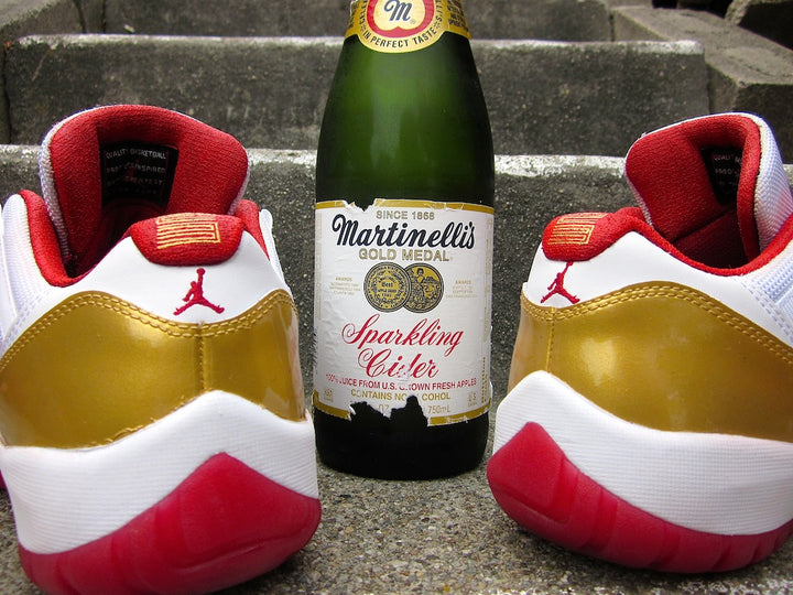 Ray Allen Jordan 11 Low PE
