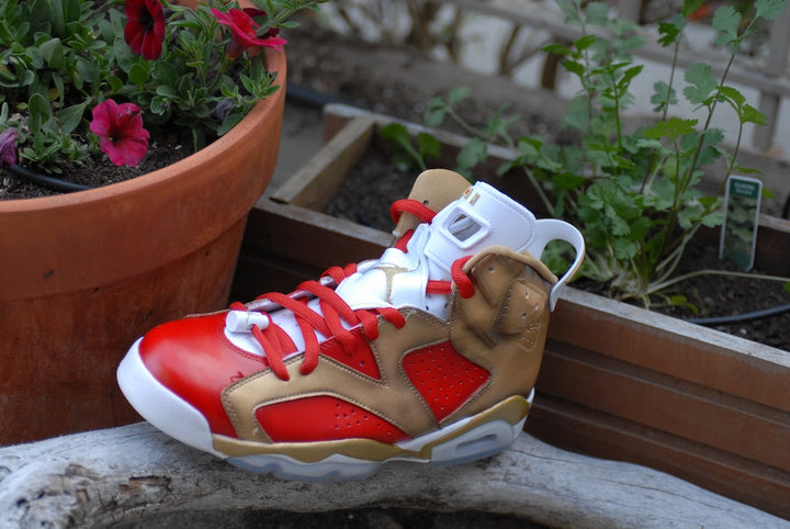 Niners Nike Air Jordan 6 Custom Shoes