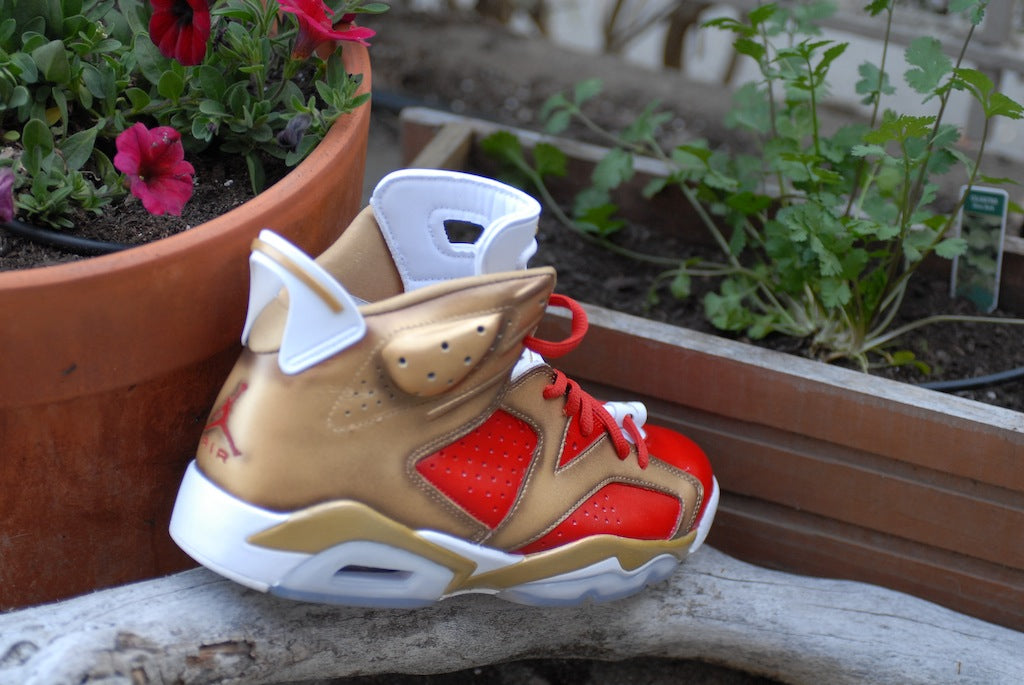 Niners Nike Air Jordan 6 Custom Shoes